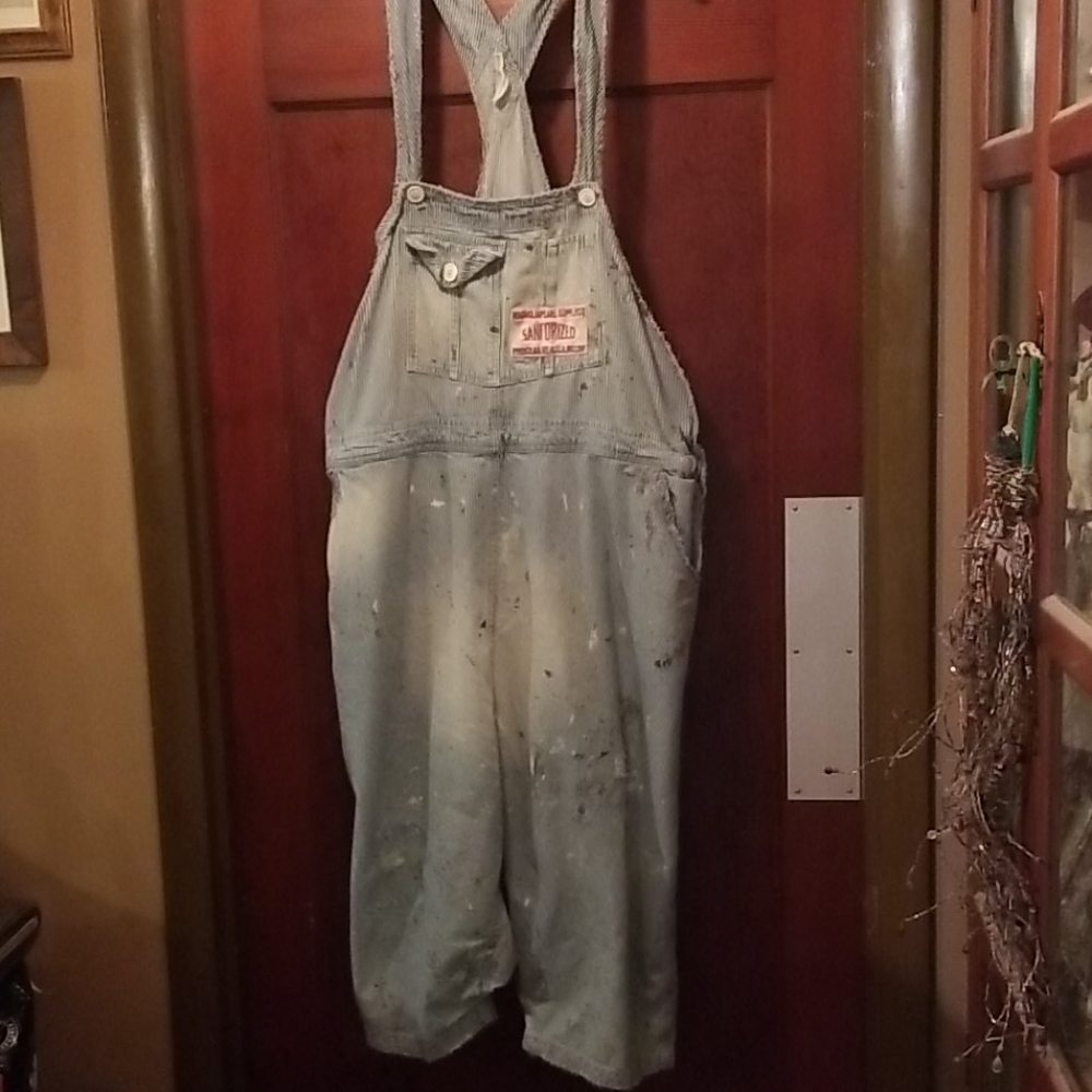 Magnolia Pearl Overalls